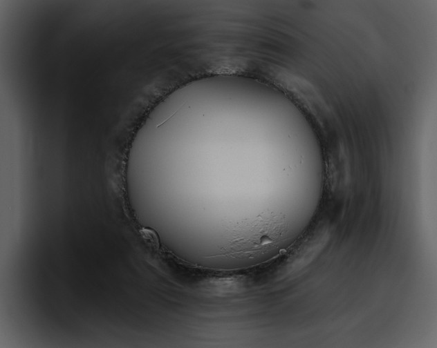 X0000095930307200801111300