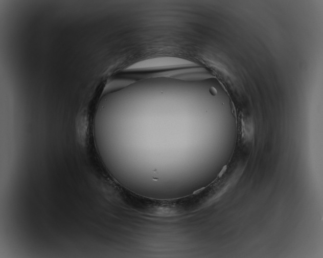 X0000095930308200801111300