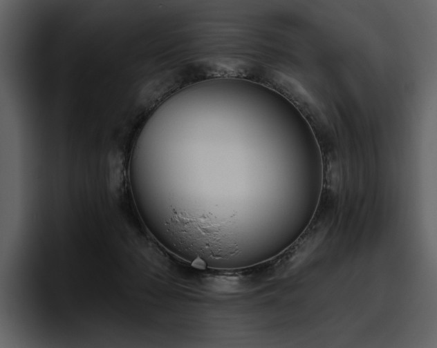 X0000095930318200801111300