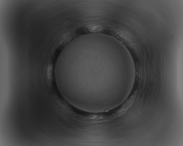 X0000095930319200801111300
