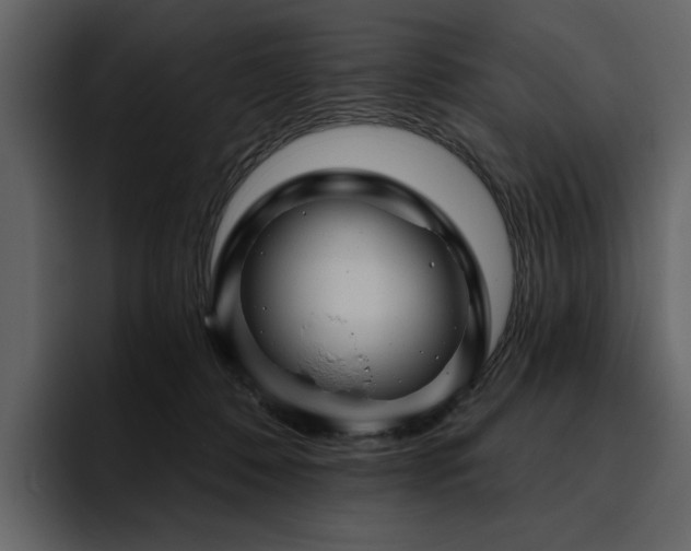 X0000095930320200801111300