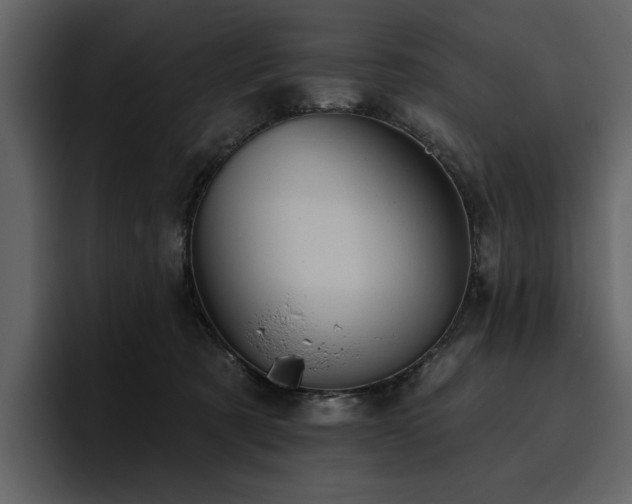 X0000095930321200801111300