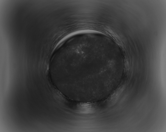 X0000095930325200801111300