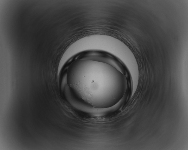 X0000095930328200801111300