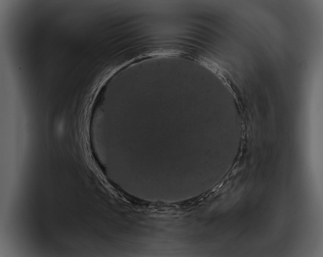 X0000095930337200801111259