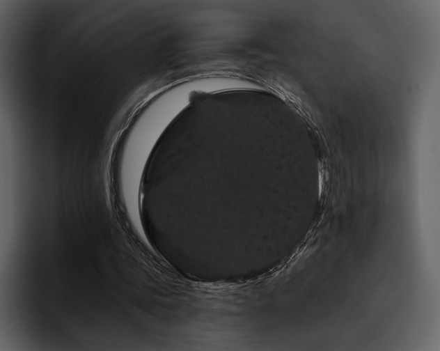 X0000095930339200801111259