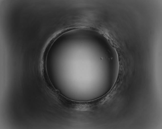 X0000095930342200801111259