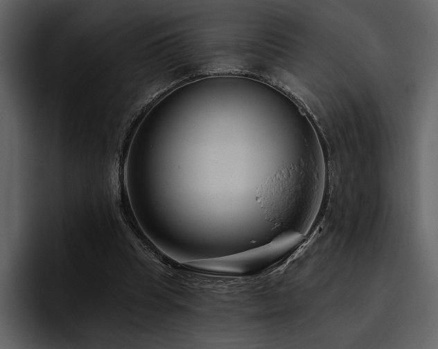 X0000095930345200801111259