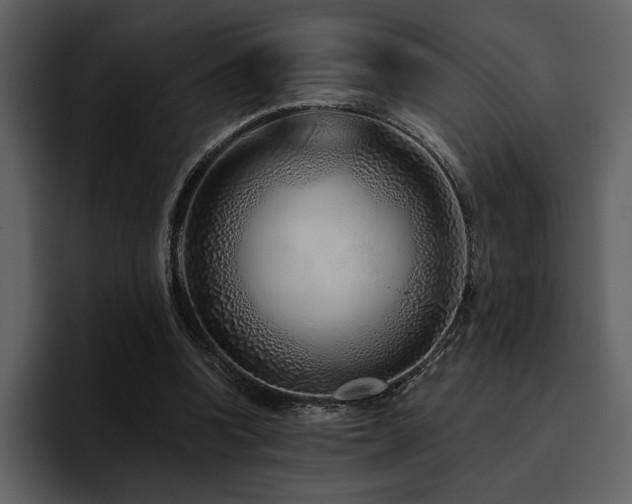 X0000095930346200801111259
