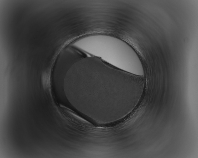 X0000095930348200801111259