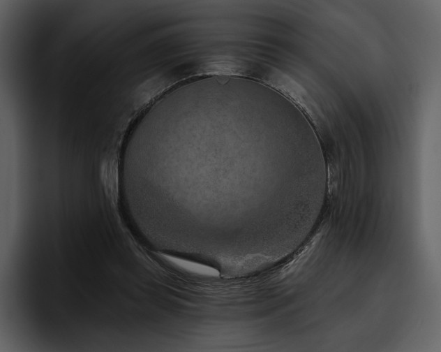 X0000095930349200801111259
