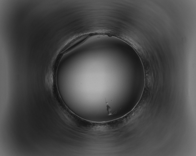 X0000095930350200801111259