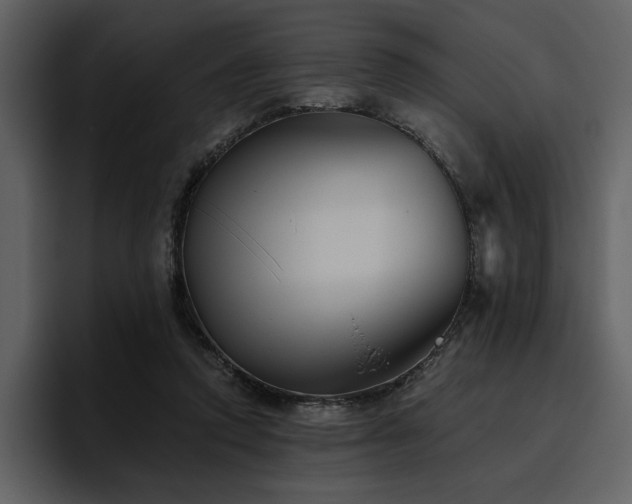 X0000095930354200801111259