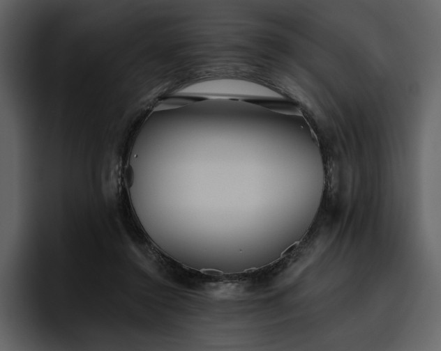 X0000095930356200801111259