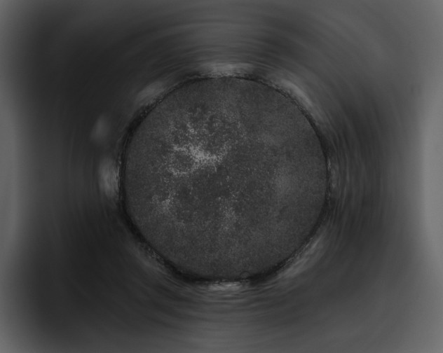 X0000095930357200801111259