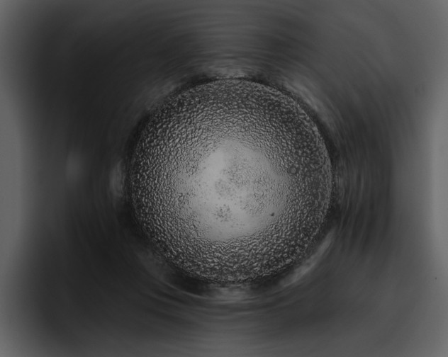 X0000095930359200801111259