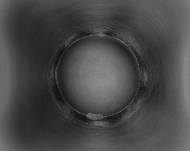X0000095930360200801111259