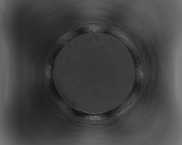 X0000095930361200801111300
