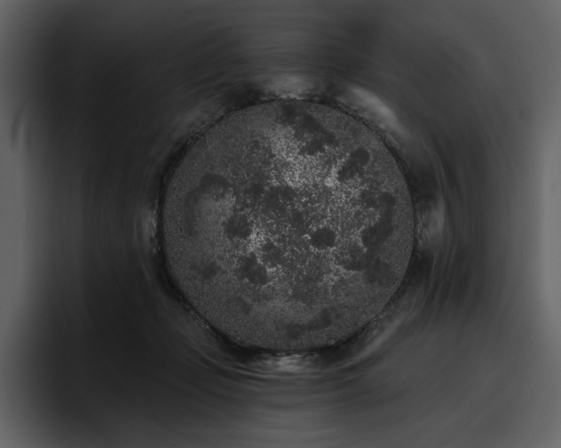 X0000095930365200801111300