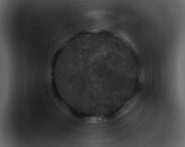 X0000095930366200801111300