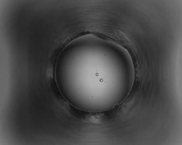 X0000095930368200801111300