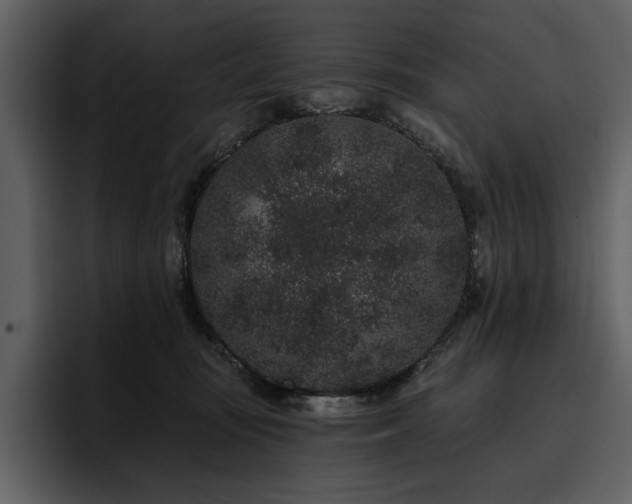 X0000095930371200801111300