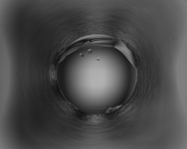 X0000095930384200801111300