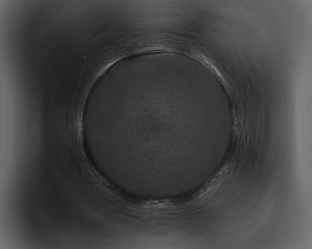 X0000095930386200801111259