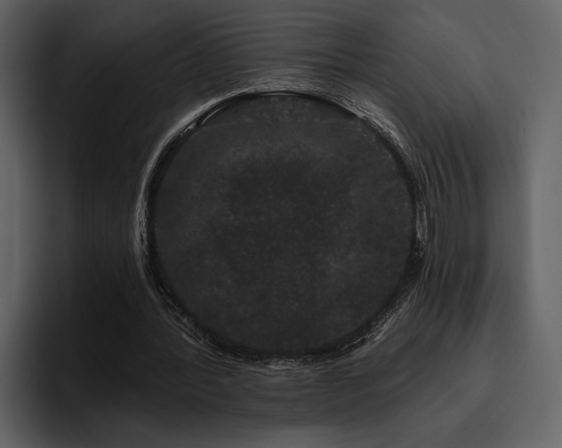 X0000095930388200801111259