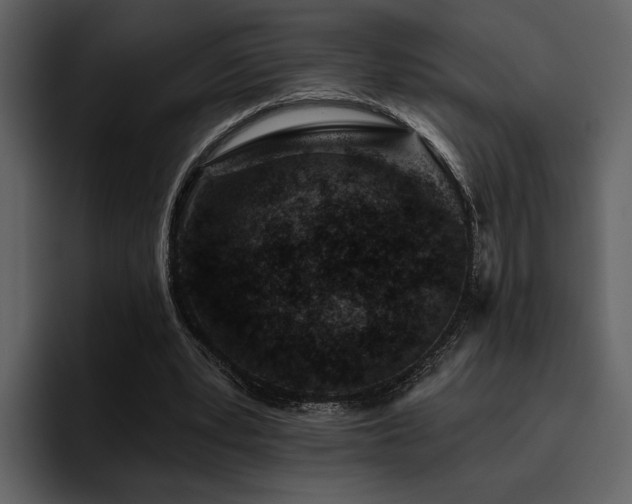 X0000095930391200801111259