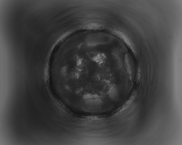 X0000095930392200801111259