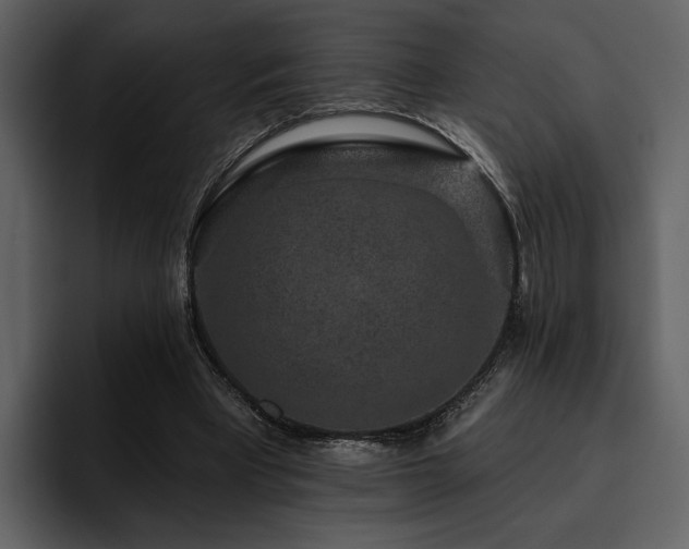 X0000095930393200801111259