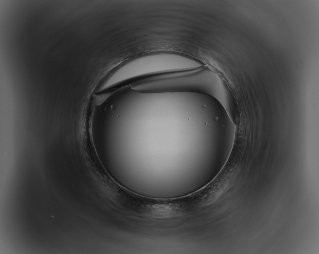 X0000095930394200801111259
