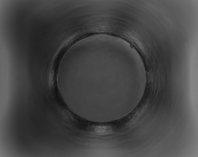 X0000095930400200801111259