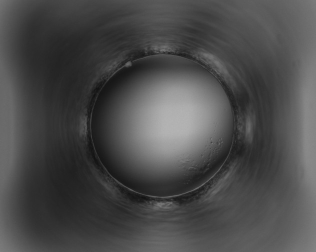 X0000095930401200801111259