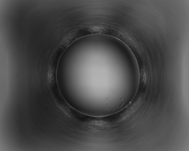 X0000095930408200801111259
