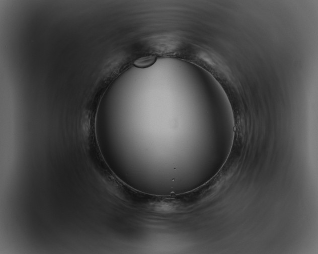 X0000095930412200801111259