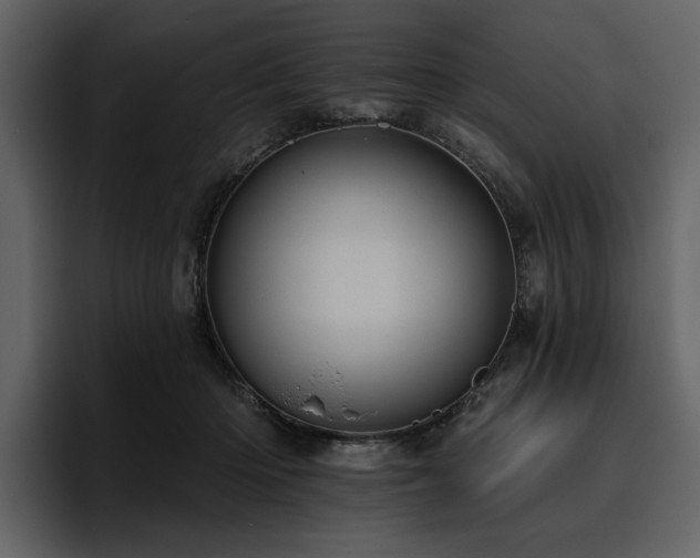 X0000095930414200801111259