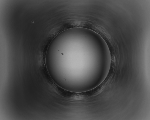 X0000095930416200801111259