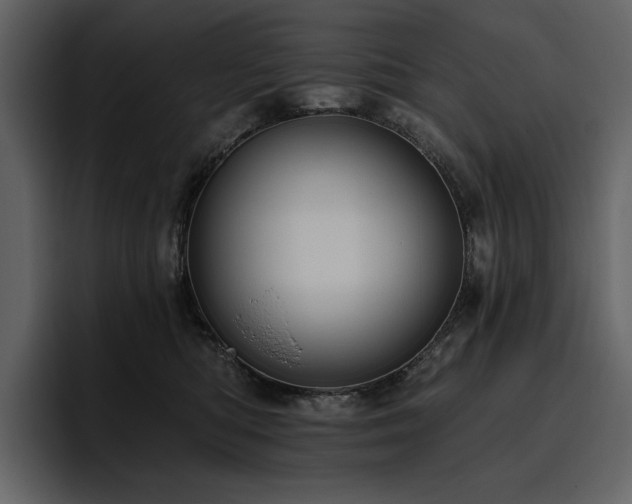 X0000095930422200801111259