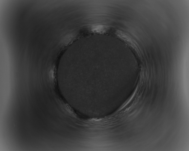 X0000095930424200801111259