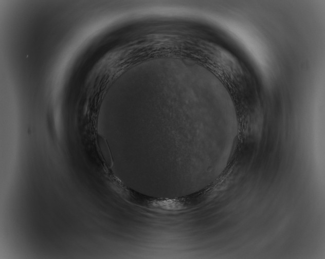 X0000095930431200801111259