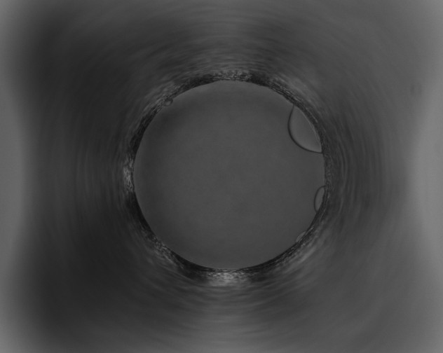 X0000095930432200801111259