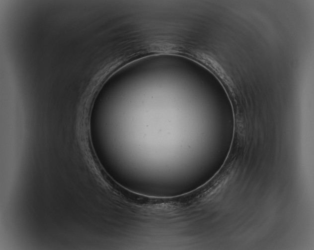 X0000095930433200801111258