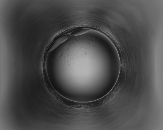 X0000095930434200801111258