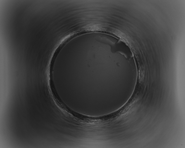 X0000095930438200801111258