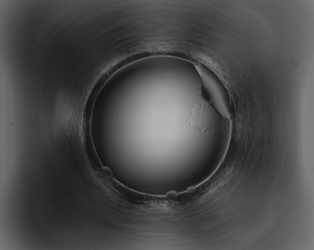 X0000095930439200801111258