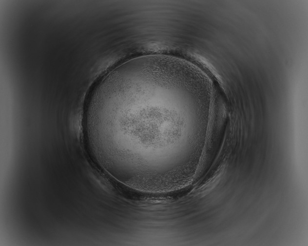 X0000095930443200801111258