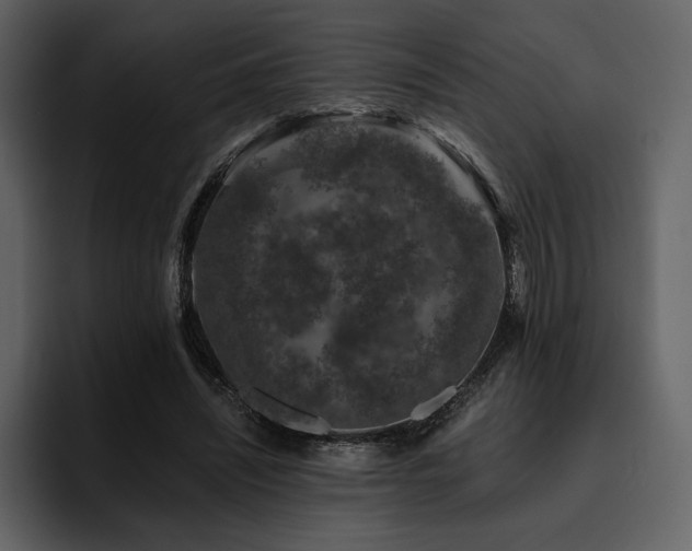 X0000095930444200801111258