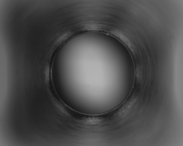 X0000095930445200801111258